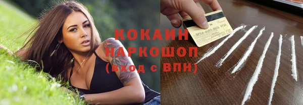 PSILOCYBIN Навашино