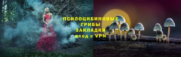 PSILOCYBIN Навашино