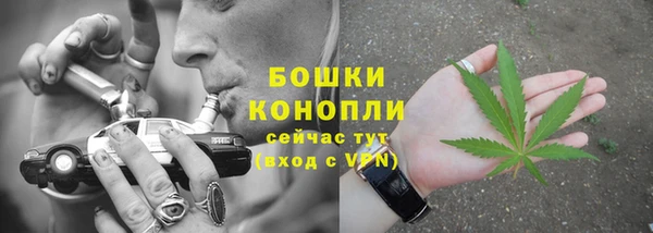 PSILOCYBIN Навашино