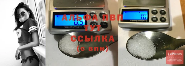 дживик Надым
