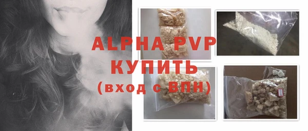 дживик Надым