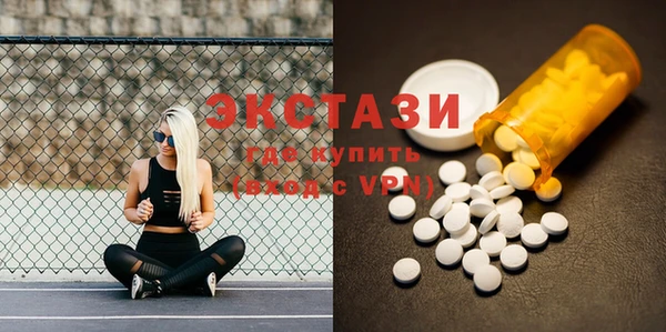 дживик Надым