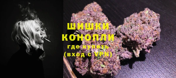 PSILOCYBIN Навашино