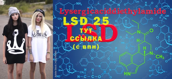 PSILOCYBIN Навашино