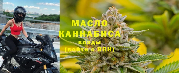 индика Нефтегорск