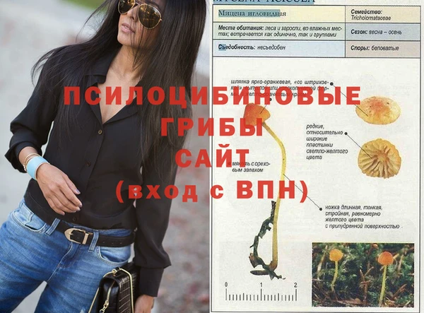 дживик Надым